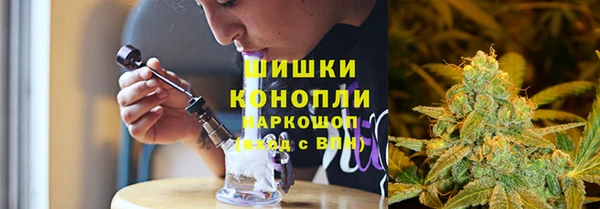 прущие грибы Горняк