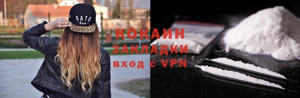 прущие грибы Горняк