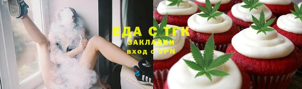 прущие грибы Горняк