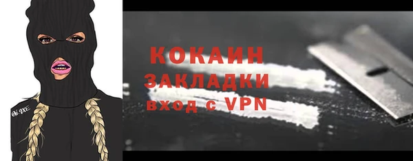 прущие грибы Горняк