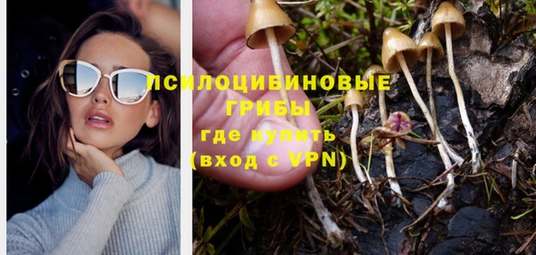 дурь Горно-Алтайск