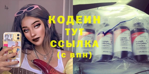 прущие грибы Горняк
