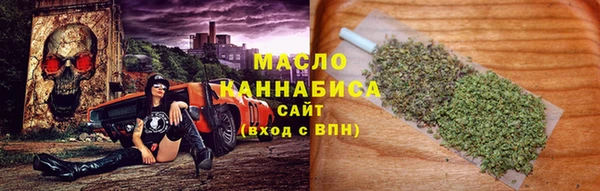 прущие грибы Горняк