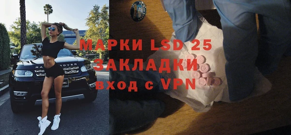 прущие грибы Горняк