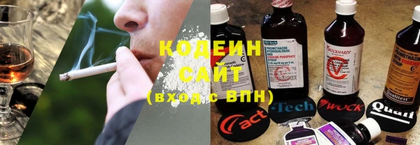 прущие грибы Горняк