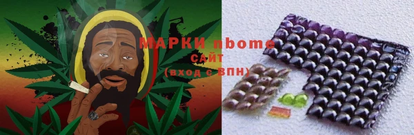 прущие грибы Горняк