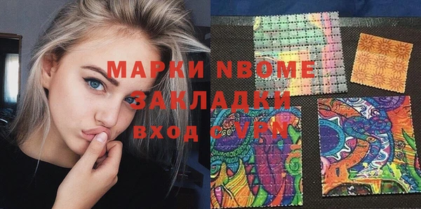 прущие грибы Горняк