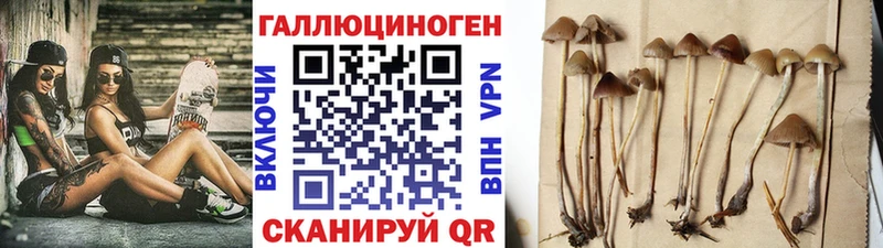 купить  цена  Меленки  Галлюциногенные грибы мухоморы 